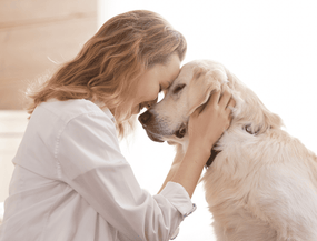 Patellaluxation beim Hund – Symptome, Behandlung und wie du helfen kannst