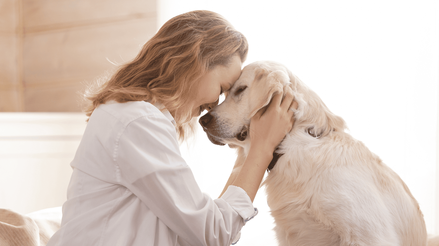 Patellaluxation beim Hund – Symptome, Behandlung und wie du helfen kannst