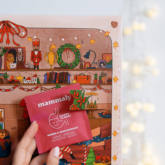 mammaly Adventskalender für Hunde 2026 Produktverpackung