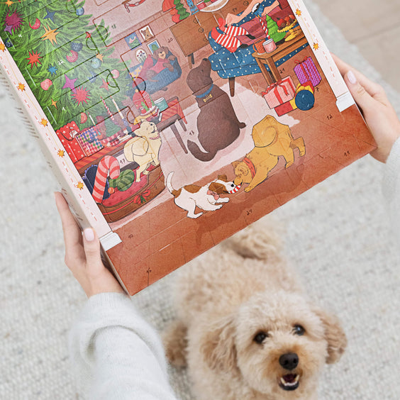 mammaly Adventskalender für Hunde 2026 Produktverpackung