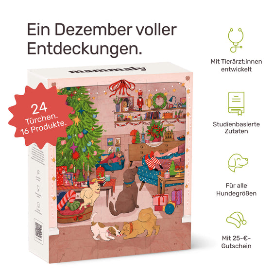 Adventskalender