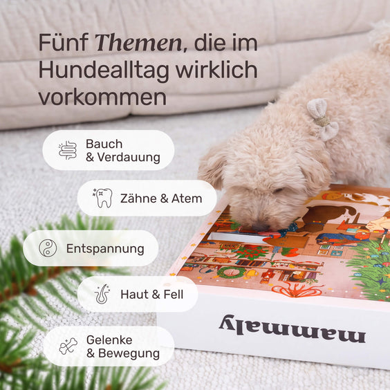 Adventskalender