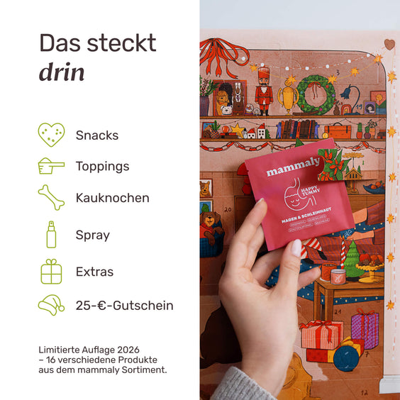 Adventskalender