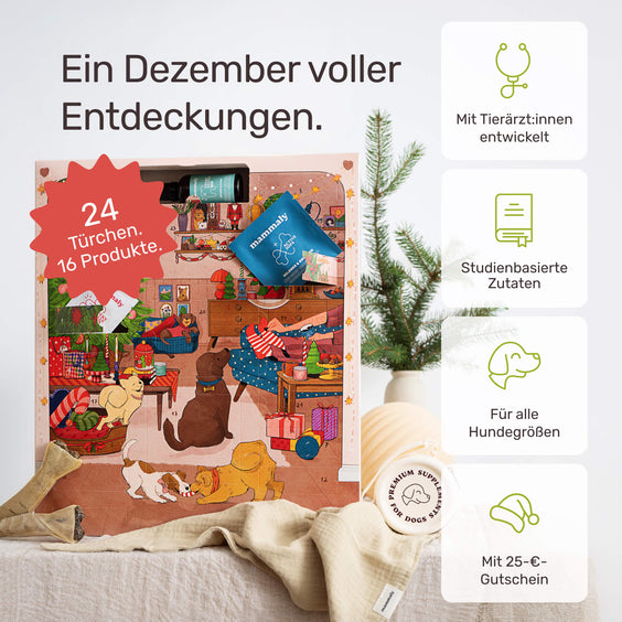 Adventskalender