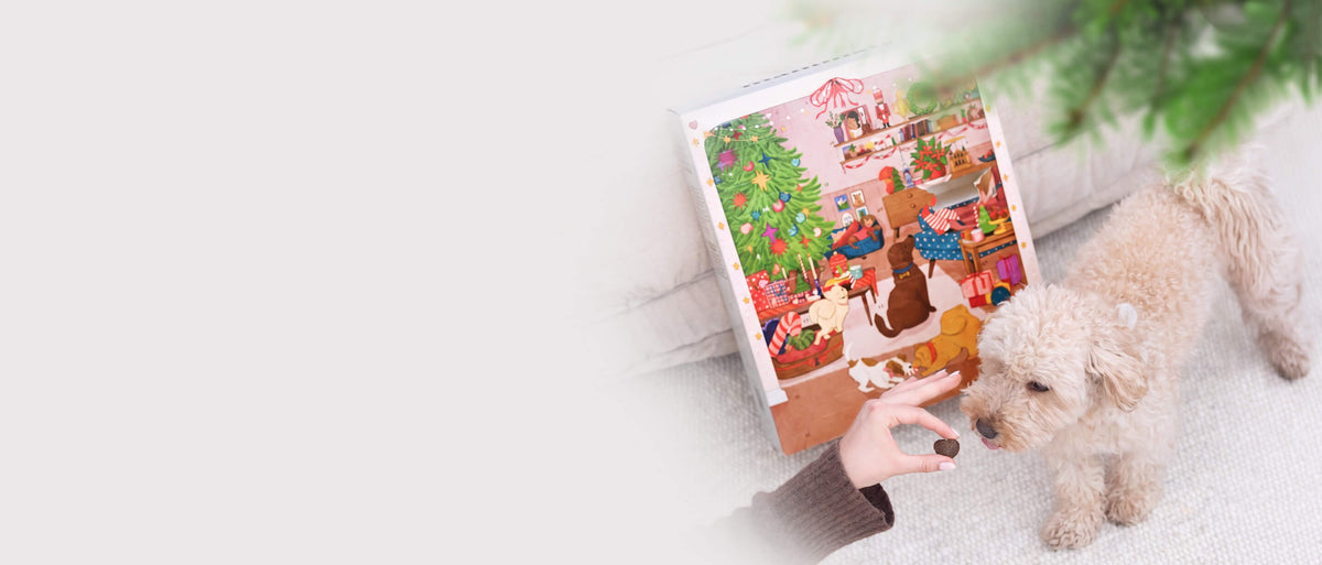 Adventskalender für Hunde