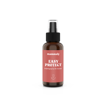 Easy Protect