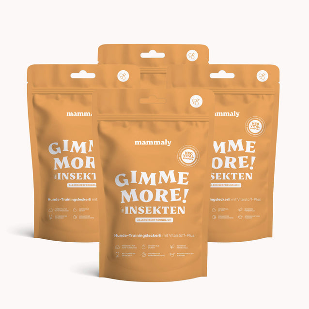 Gimme More! mit Insekten - mammaly