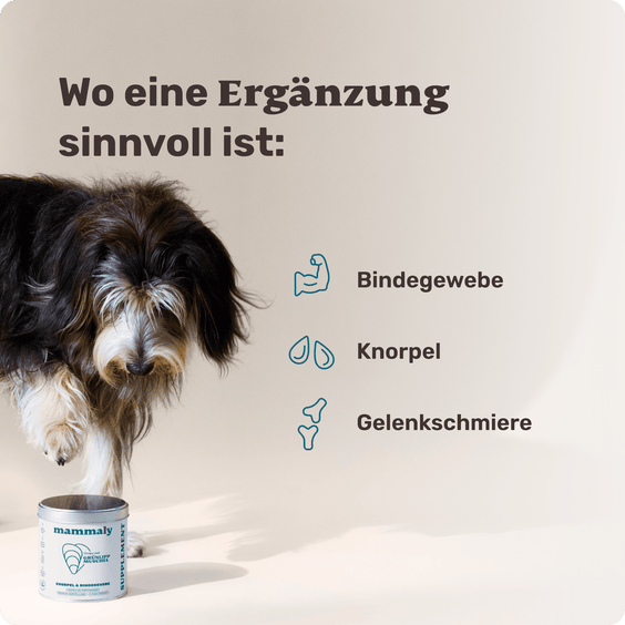 Hunde Grünlippmuschel-Drops Wirkbereiche