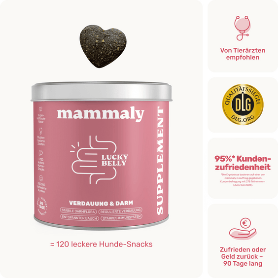 Hunde Verdauungssnack Lucky Belly Produktverpackung