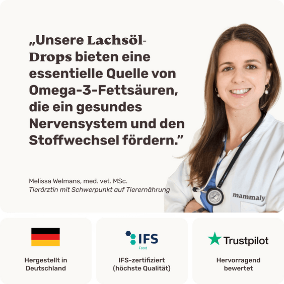 Lachsöl-Drops für Hunde Tierarztempfehlung