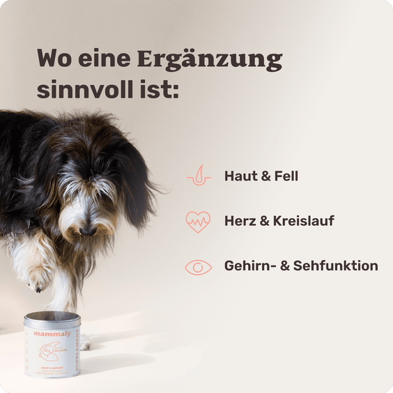 Hunde Lachsöl-Drops Wirkbereiche