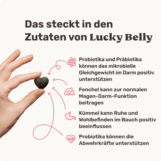 Hunde Verdauungssnack Lucky Belly Produktvorteile