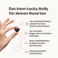 Hunde Verdauungssnack Lucky Belly Produktvorteile