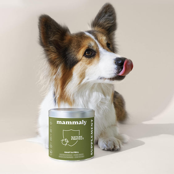 Hunde Outdoor-Snack Nature Protect