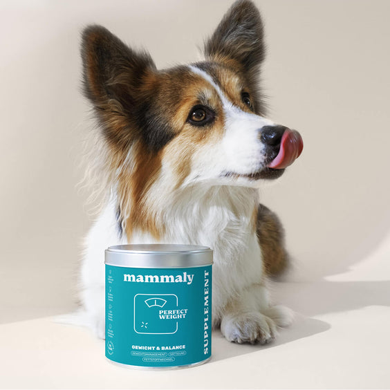 Hunde-Snack Perfect Weight