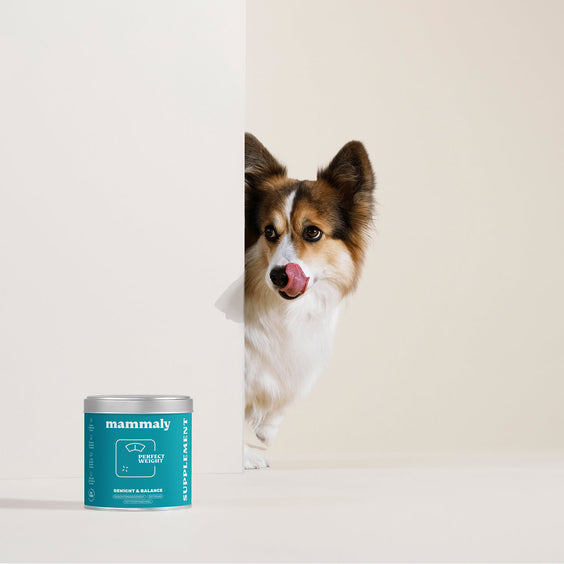 Hunde-Snack Perfect Weight
