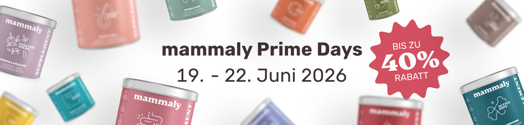 Alle Produkte