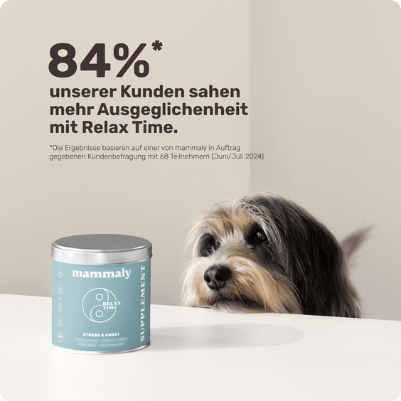 Hunde Beruhigungs-Snack Relax Time Kundenumfrage