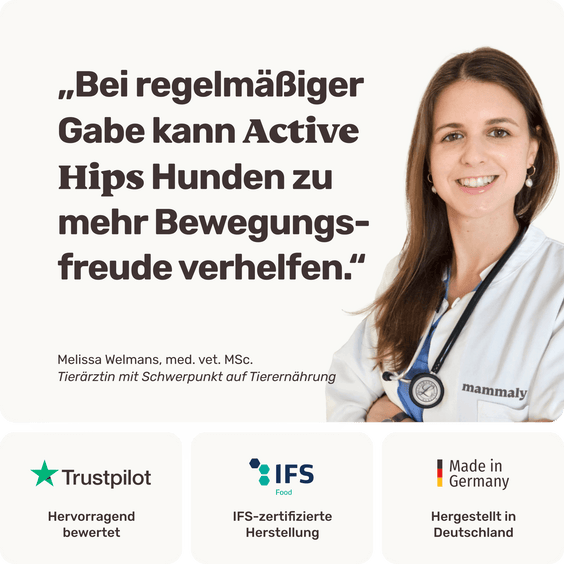 Hunde Gelenksnack Active Hips Tierarztempfehlung