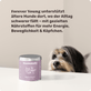 Hunde Seniorsnack Forever Young Hintergrundwissen