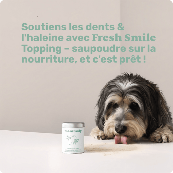 Fresh Smile Topping