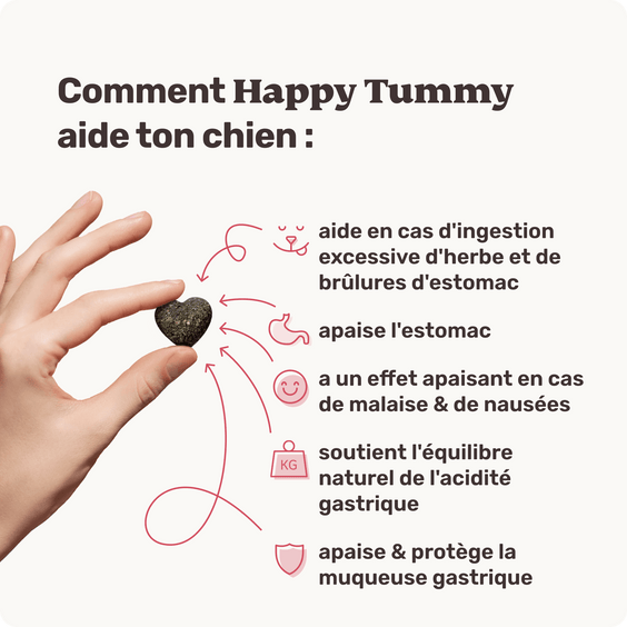Happy Tummy