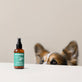 Fresh Dental Zahnpflege-Spray