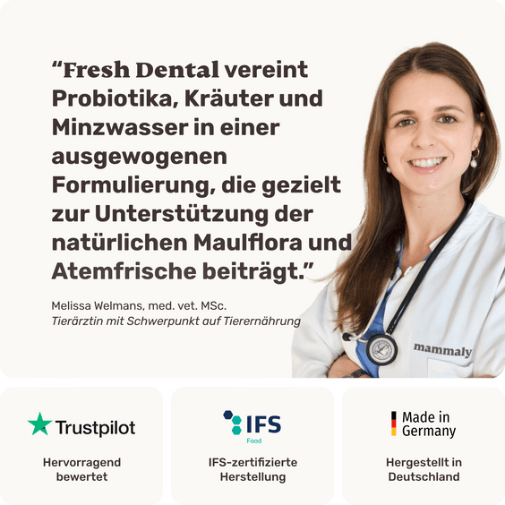 Fresh Dental Zahnpflege-Spray für Hunde mit Tierarzt-Empfehlung