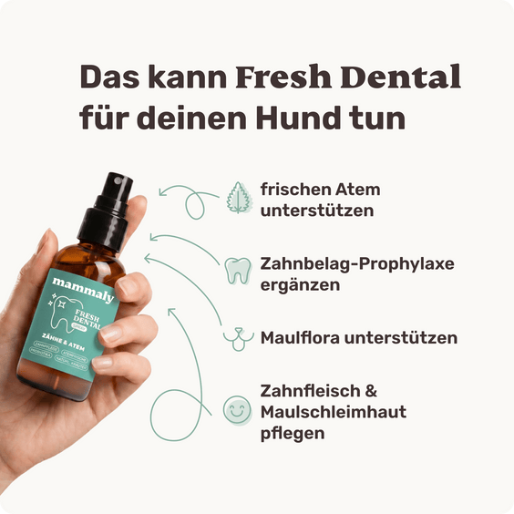 Fresh Dental Zahnpflege-Spray Vorteile für Hunde