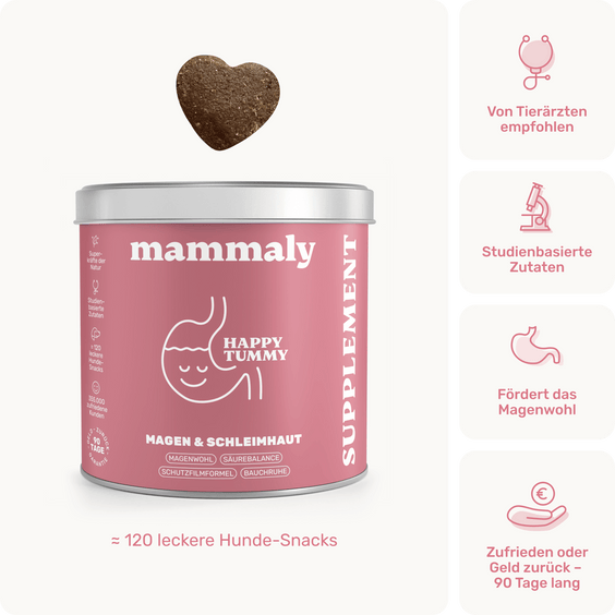 Magen & Schleimhaut-Snack für Hunde Happy Tummy Produktverpackung