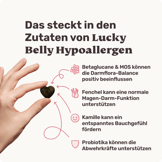 Hunde-Snack Lucky Belly Hypoallergen Produktvorteile