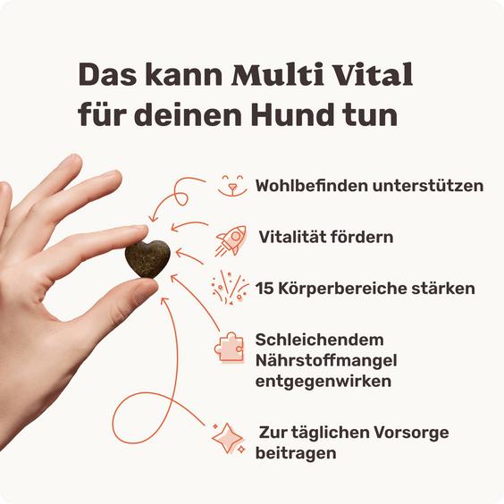 Hunde Multivitaminsnack Multi Vital Produktvorteile