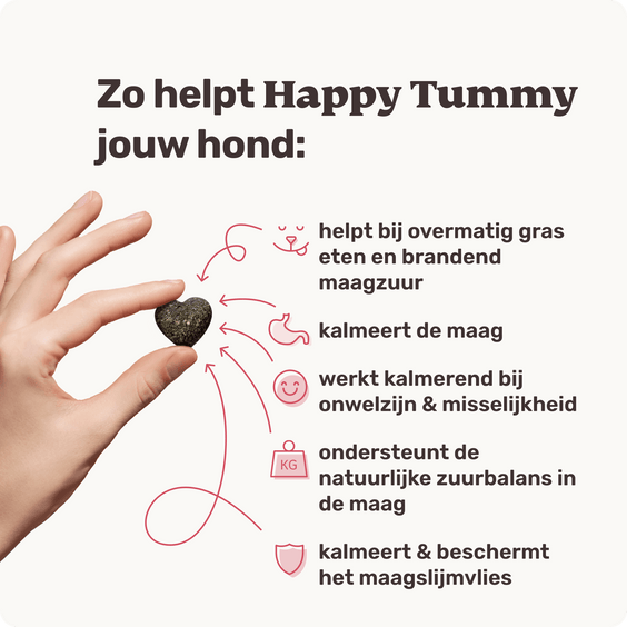 Happy Tummy