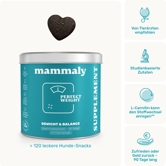 Hunde-Snack Perfect Weight Produktverpackung