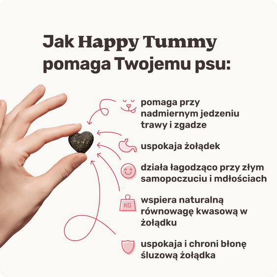 Happy Tummy