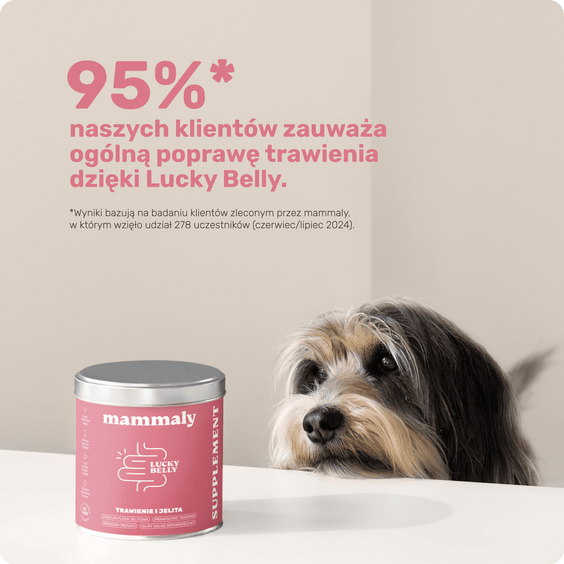 Lucky Belly