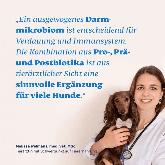 Probiotika für Hunde – Tierärztliche Empfehlung und Qualitätssiegel