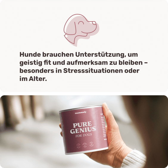 Hunde-Snack Pure Genius Hintergrundwissen