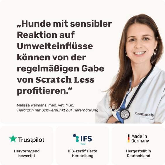 Hunde Haut-Snack Scratch Less Tierarztempfehlung