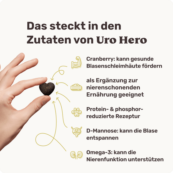Blasen & Nieren-Snack für Hunde Uro Hero Produktvorteile