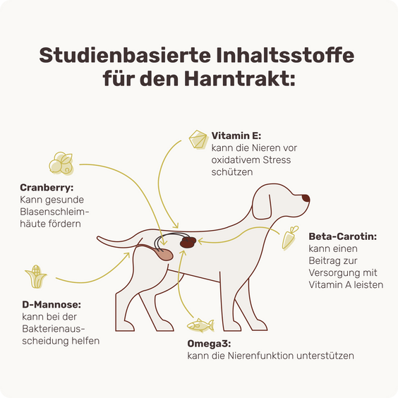 Blasen & Nieren-Snack für Hunde Uro Hero Inhaltsstoffe