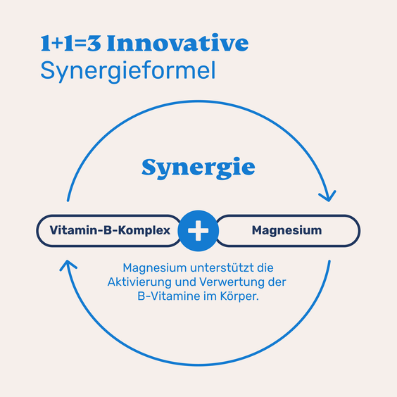 Vitamin B Komplex mit Magnesium für Hunde – Synergieformel zur besseren Aktivierung und Nutzung von B-Vitaminen